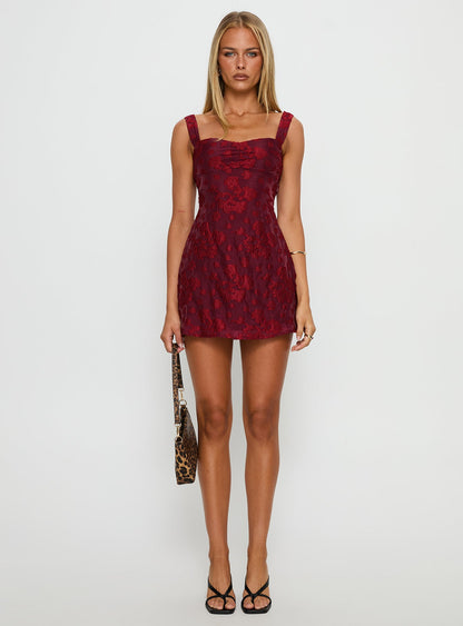Mcbeath Mini Dress Burgundy Burnout